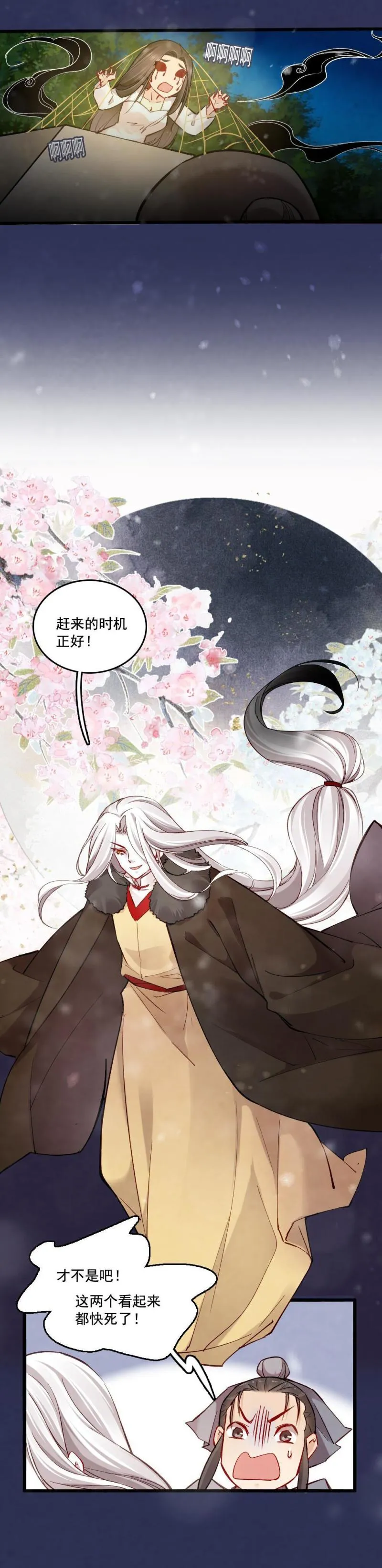 35 第14页