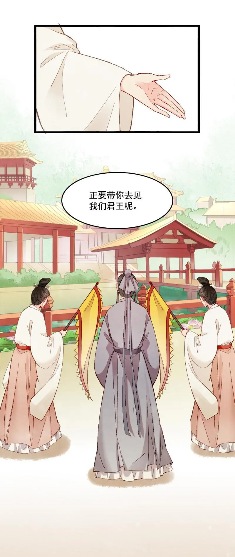 51 第11页