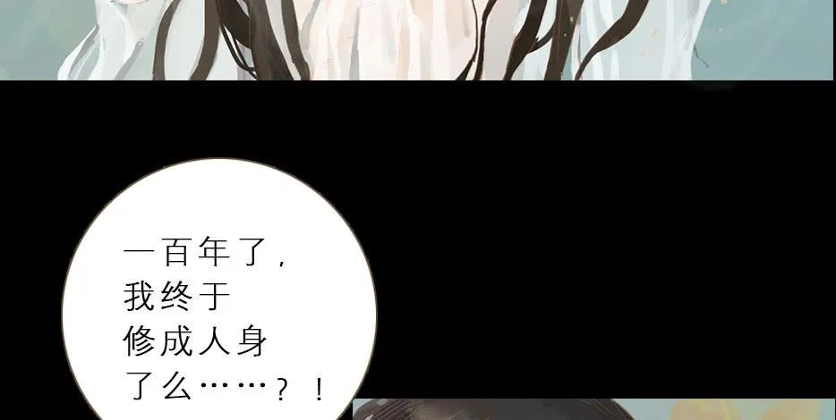 草精化形盗仙衣 第41页