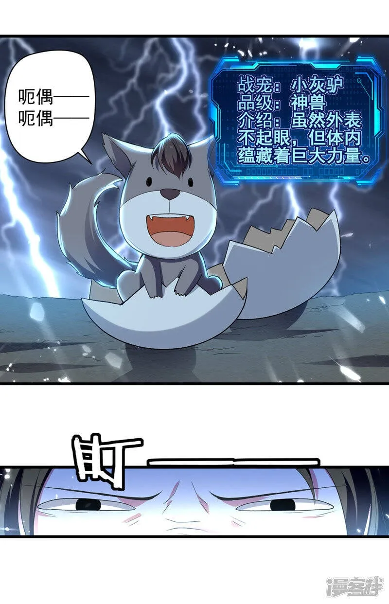 第12话 神兽小灰驴 第4页
