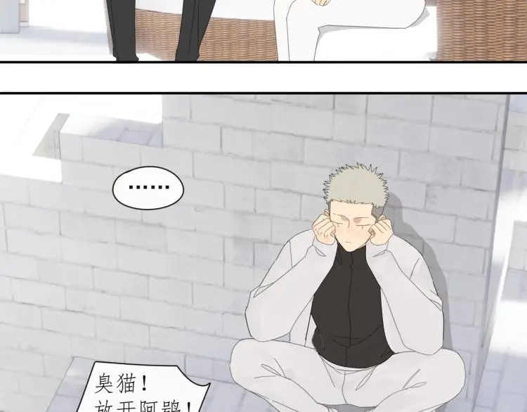 第39章 如临大敌 第44页