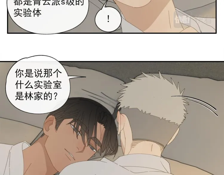 第38章 坦白 第11页