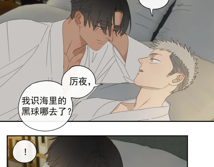 第38章 坦白 第28页