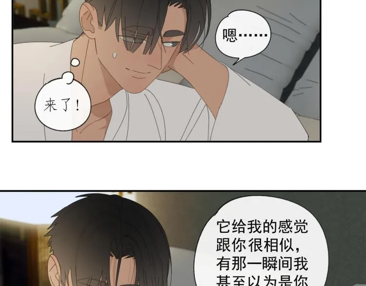 第38章 坦白 第29页