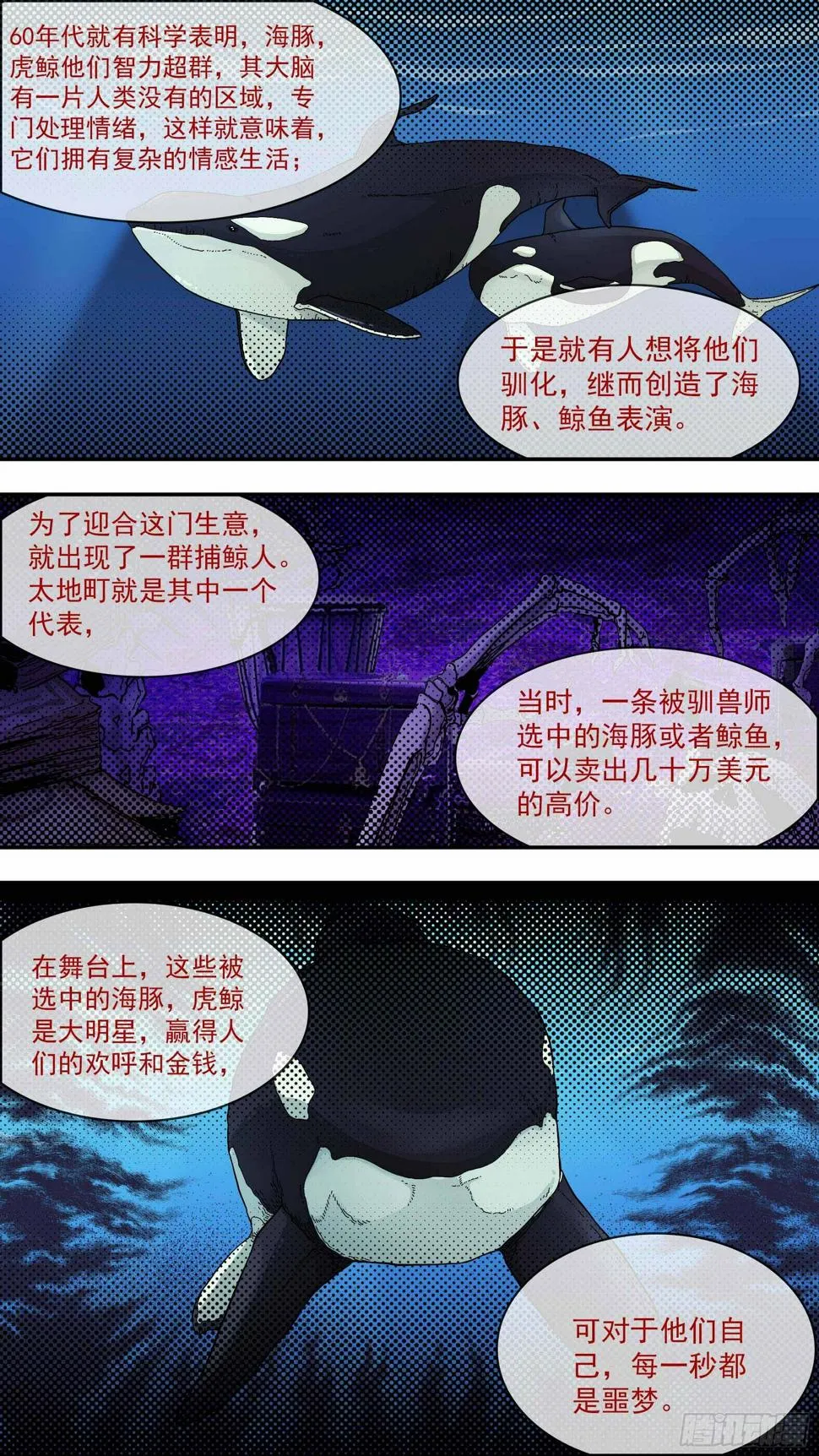虎鲸 第12页