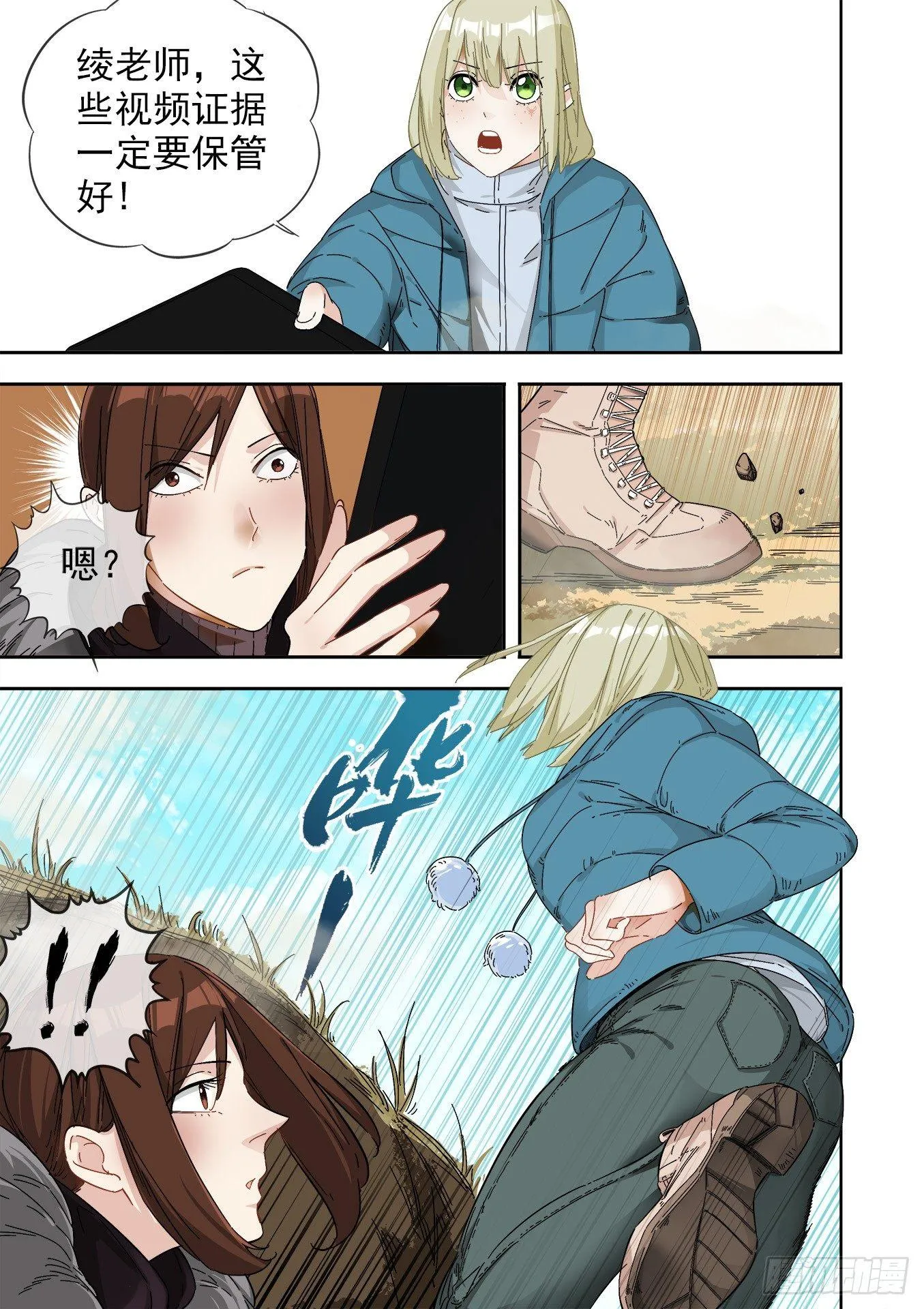 12.藏羚王 第2页
