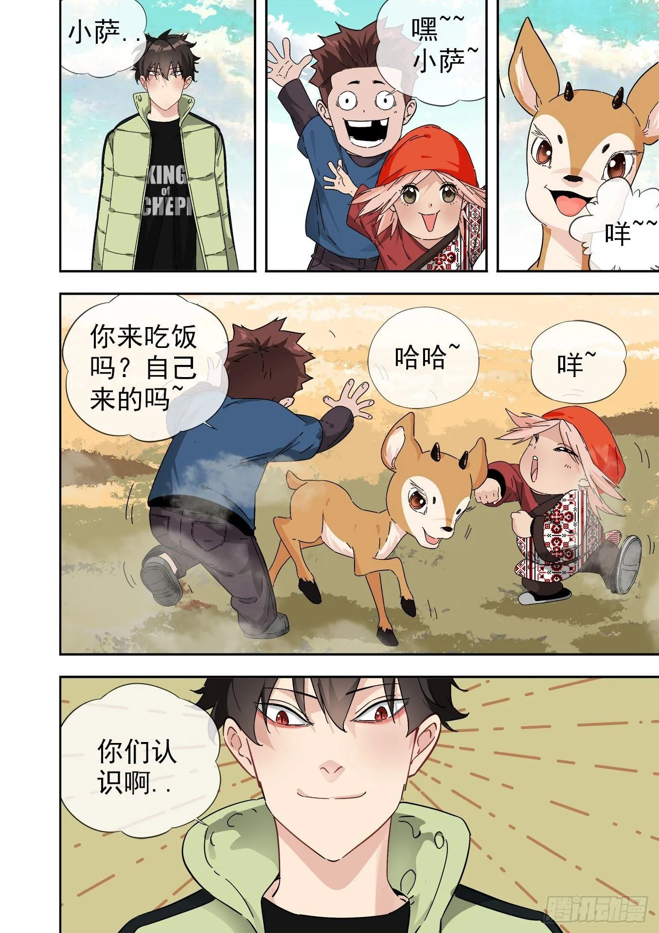 12.藏羚王 第13页