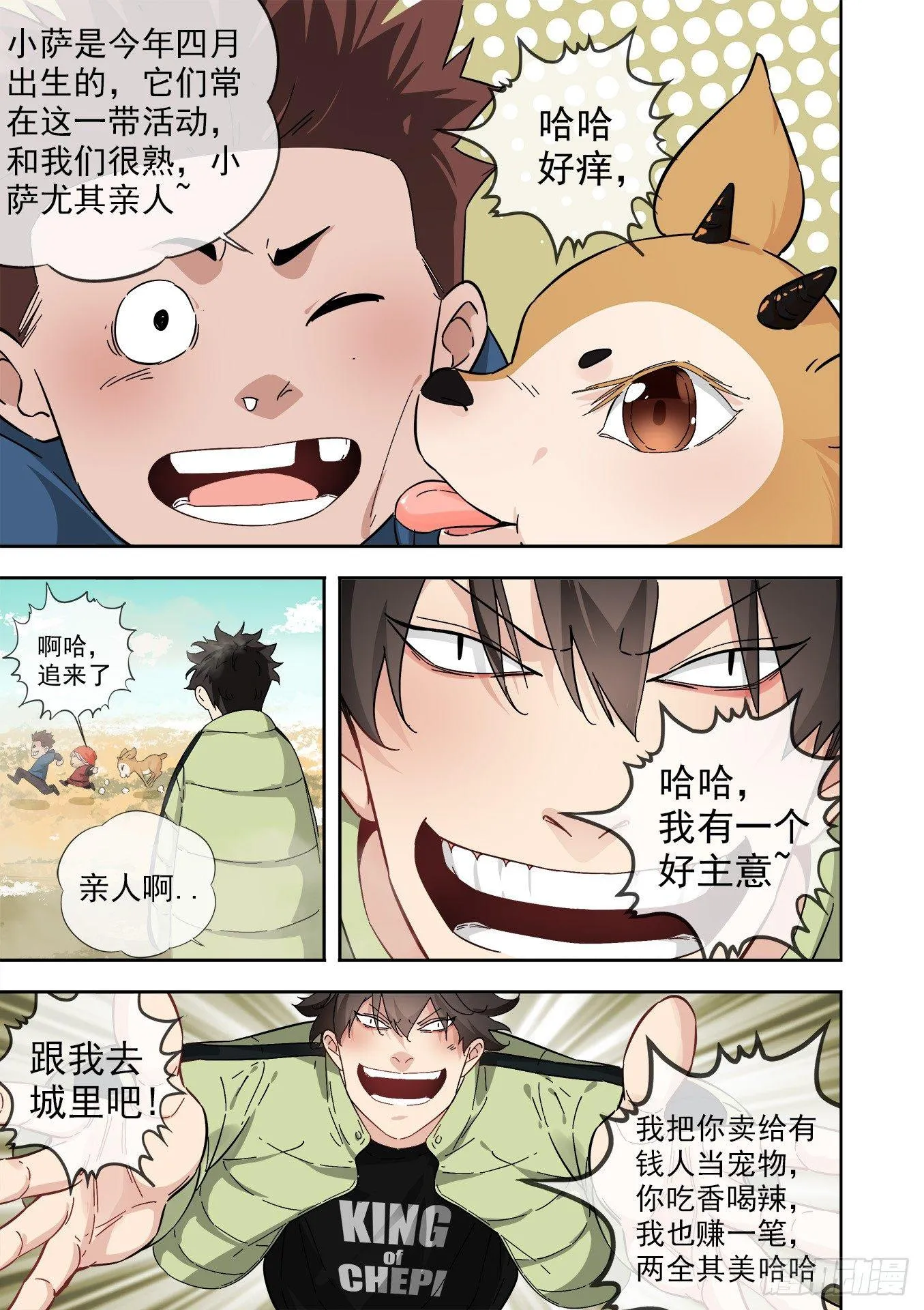 12.藏羚王 第14页