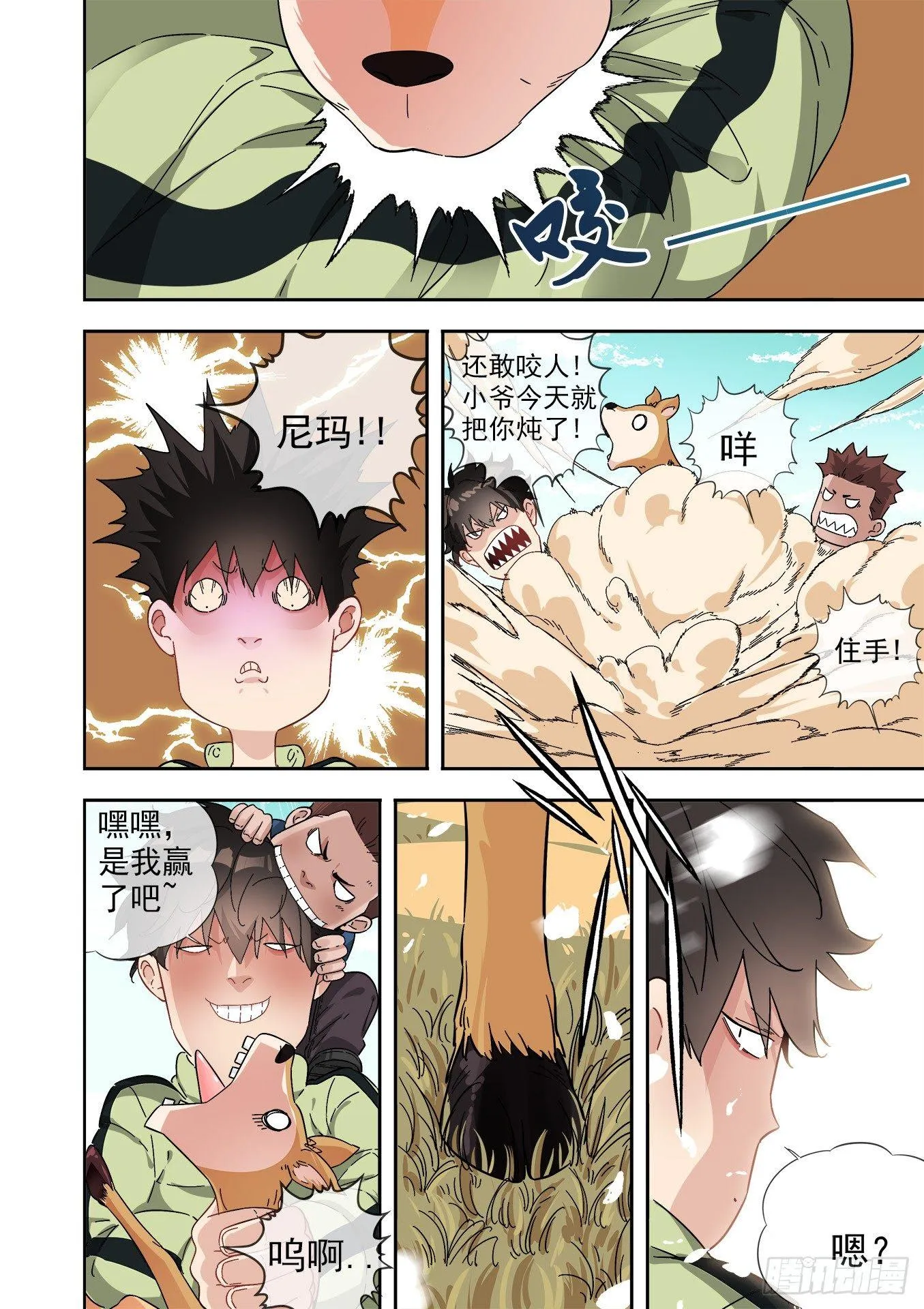 12.藏羚王 第17页