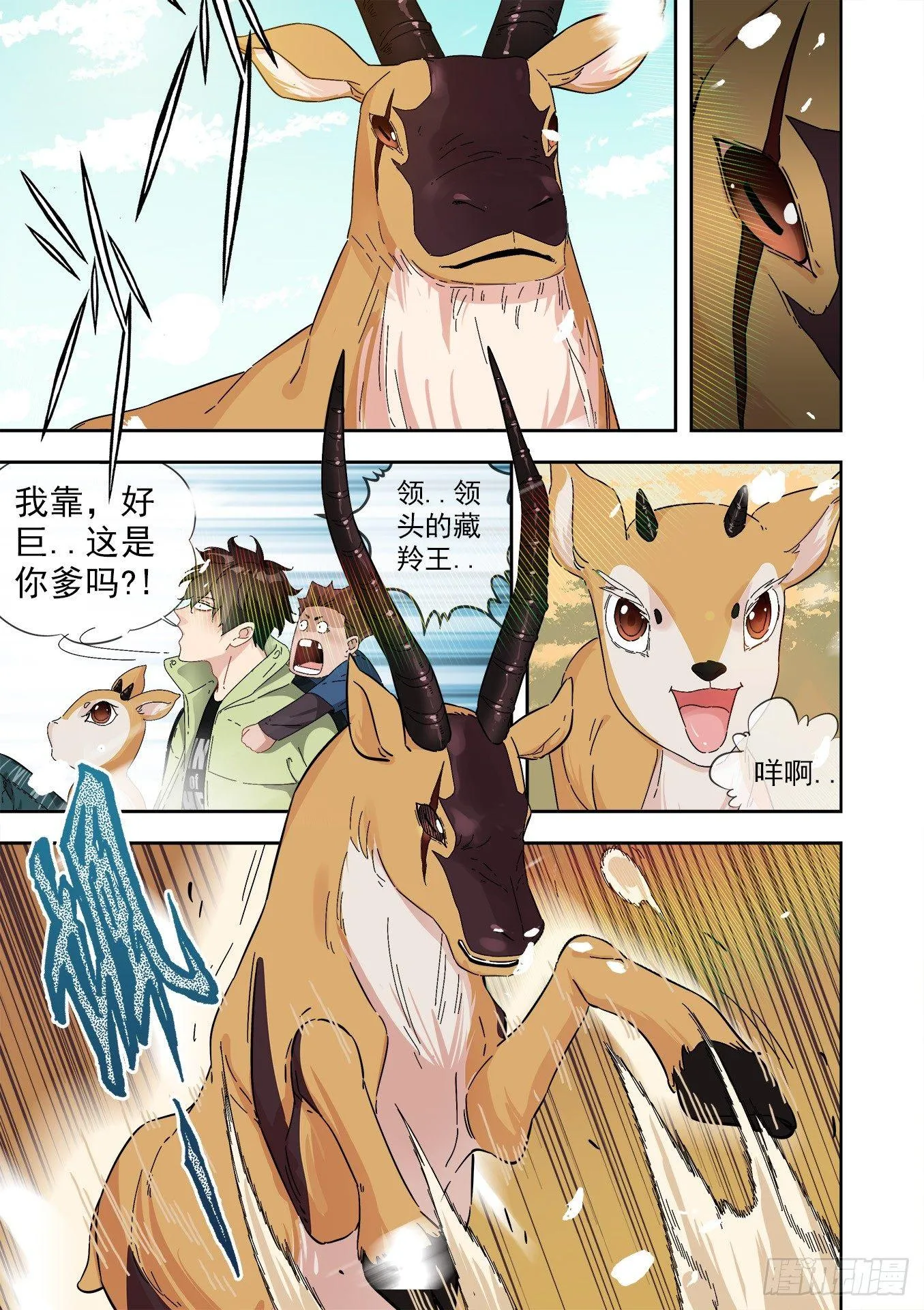 13.陆荒原VS藏羚王 第1页