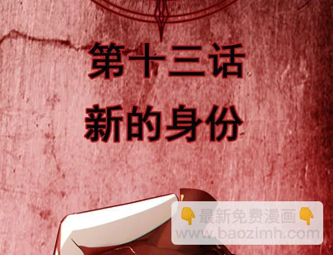 13.新的身份 第2页