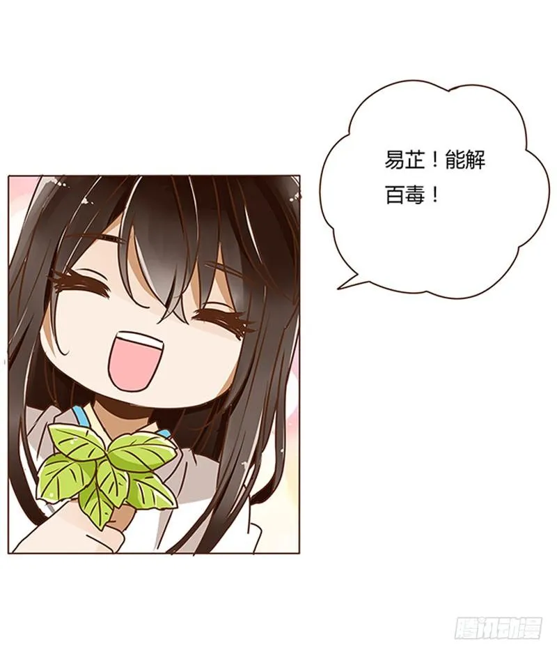 第四章 解药？ 第29页