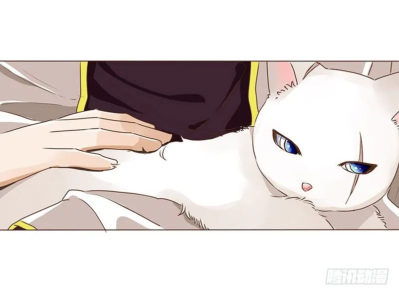 第七章 刺杀 第9页