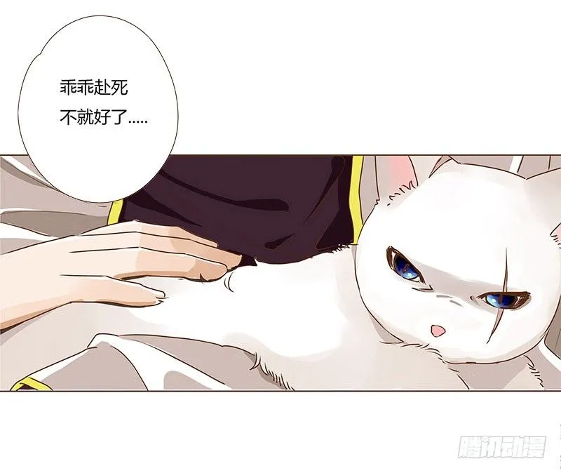 第七章 刺杀 第19页