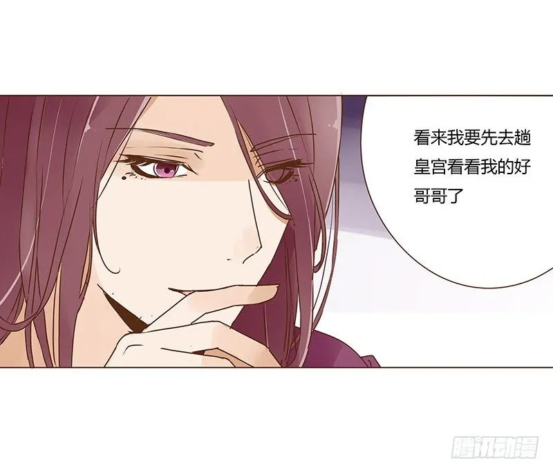 二十一章 二皇子林睿珩 第33页
