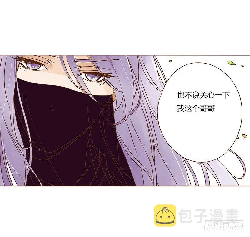 二十五章 七皇子来访 第21页