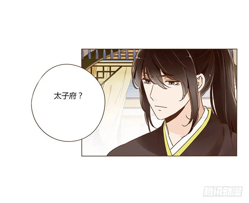 三十二章 拜访太子府 第28页
