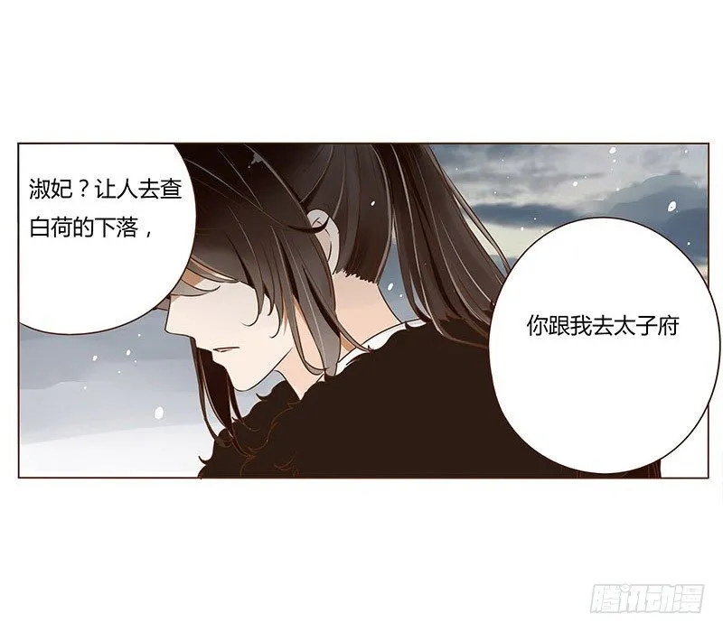 三十二章 拜访太子府 第46页