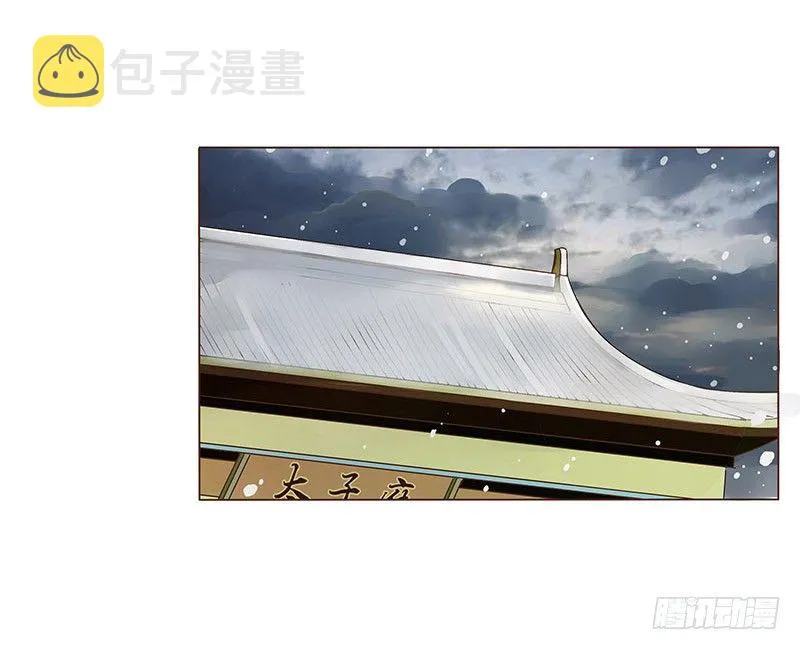 三十二章 拜访太子府 第56页