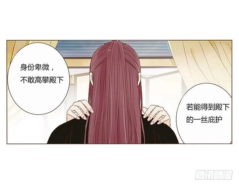四十四章 太子府遭遇危机 第17页