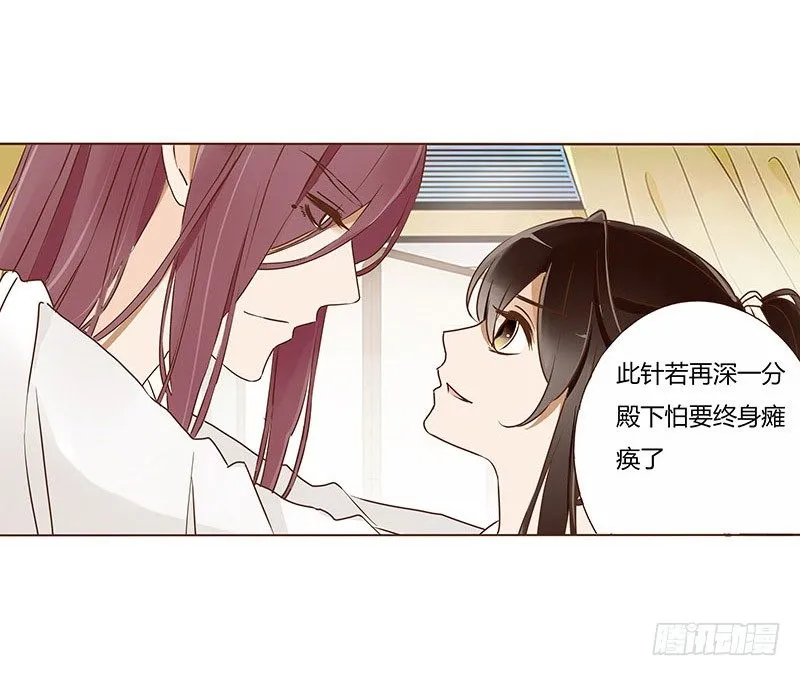 四十四章 太子府遭遇危机 第22页