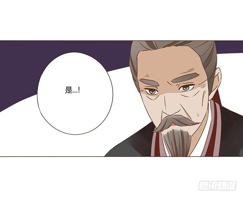 四十七章 反击3 第14页