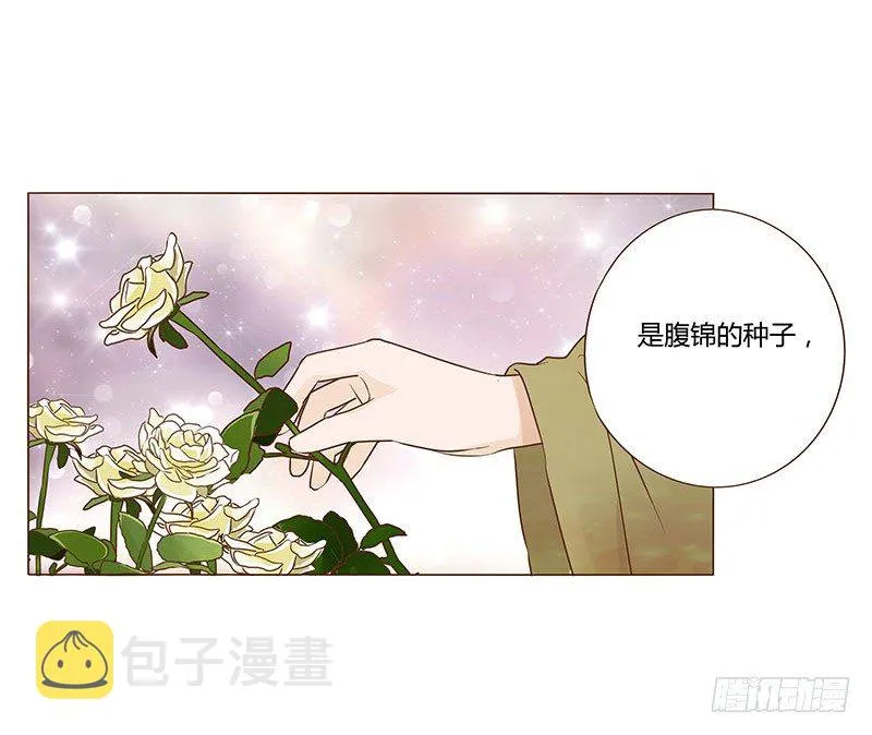 六十九章 腹锦 第43页