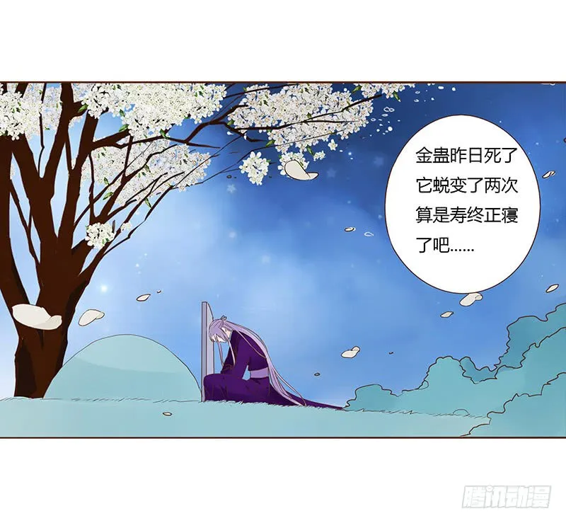 一零六章 傻瓜 第26页