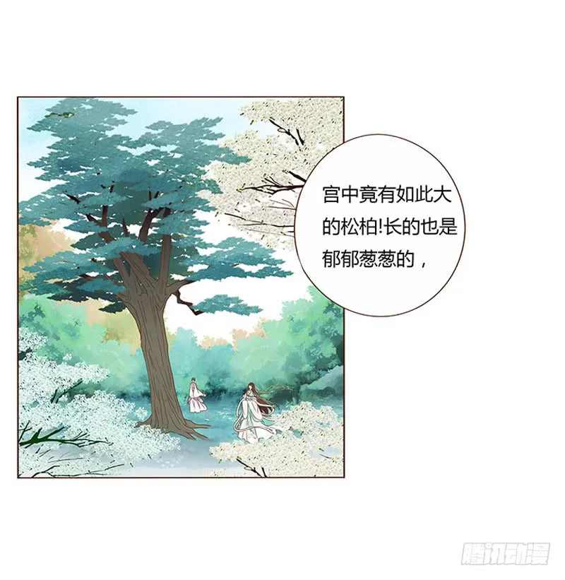 一一六章 原来你也喜欢我吗 第55页