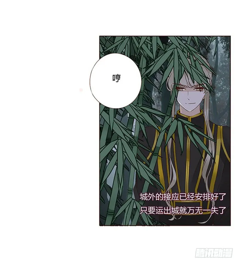 一三二章 凌琦回来了 第52页