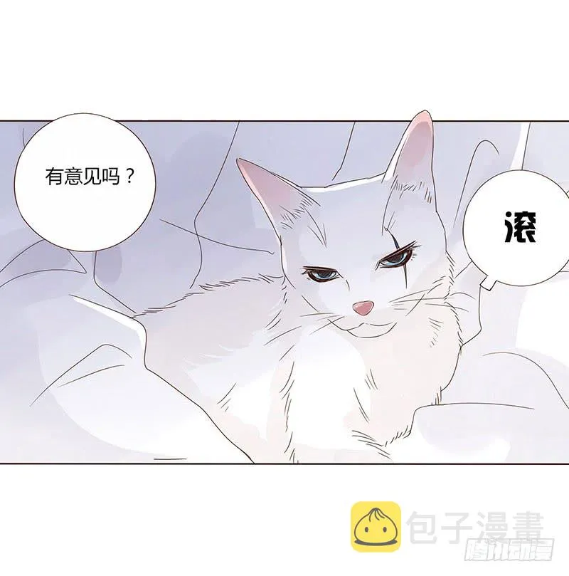 一五零章 擦身 第28页