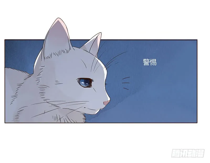 一五二章 冥琪的秘密 第12页