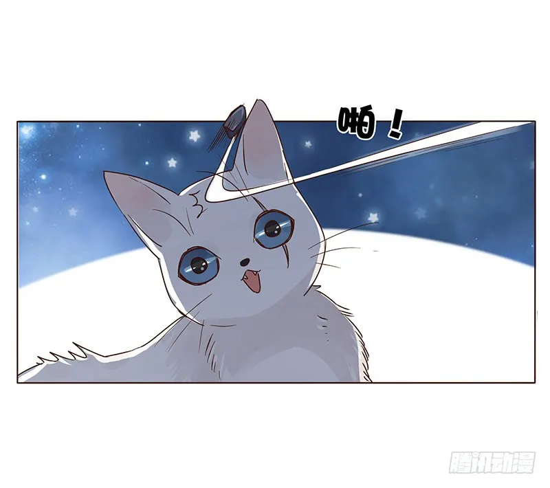 一五二章 冥琪的秘密 第13页