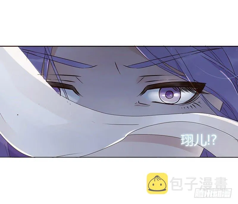 一五五章 墨珝？！ 第8页