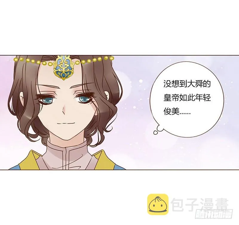 一五八章 我要嫁给皇上 第21页