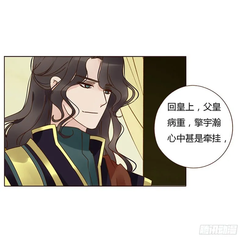一五八章 我要嫁给皇上 第32页