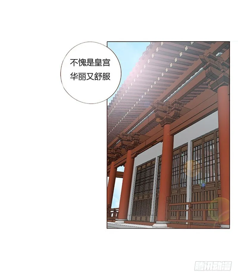 一五八章 我要嫁给皇上 第43页
