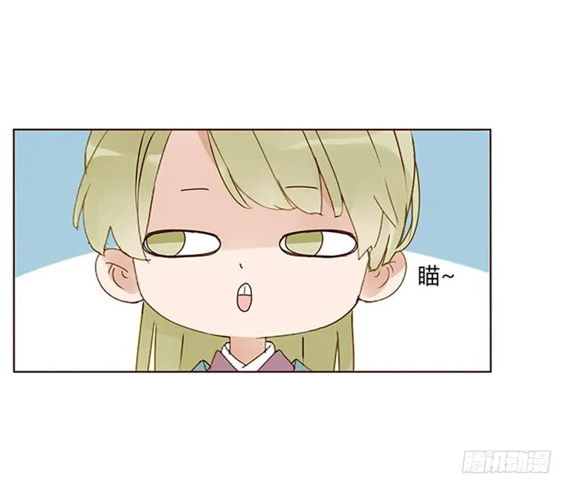 一六一章 机灵的皓皓 第35页