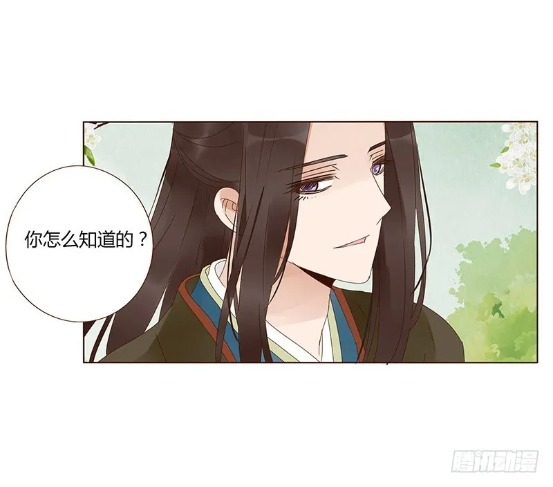 一六五章 阴谋1 第31页