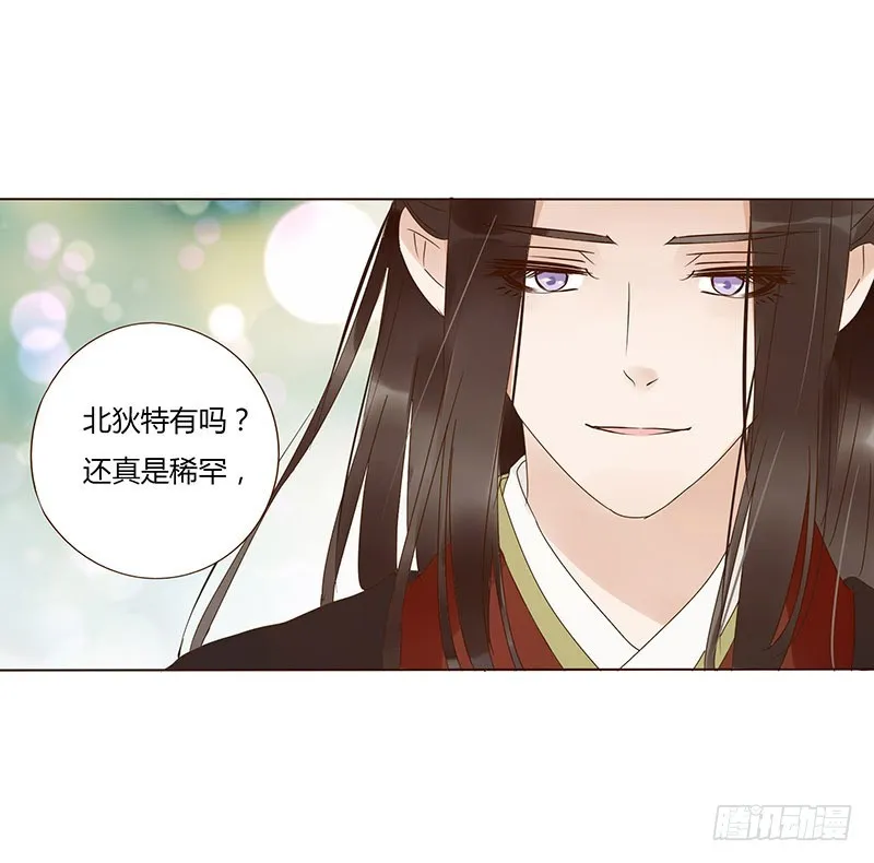一六八章 化解 第26页