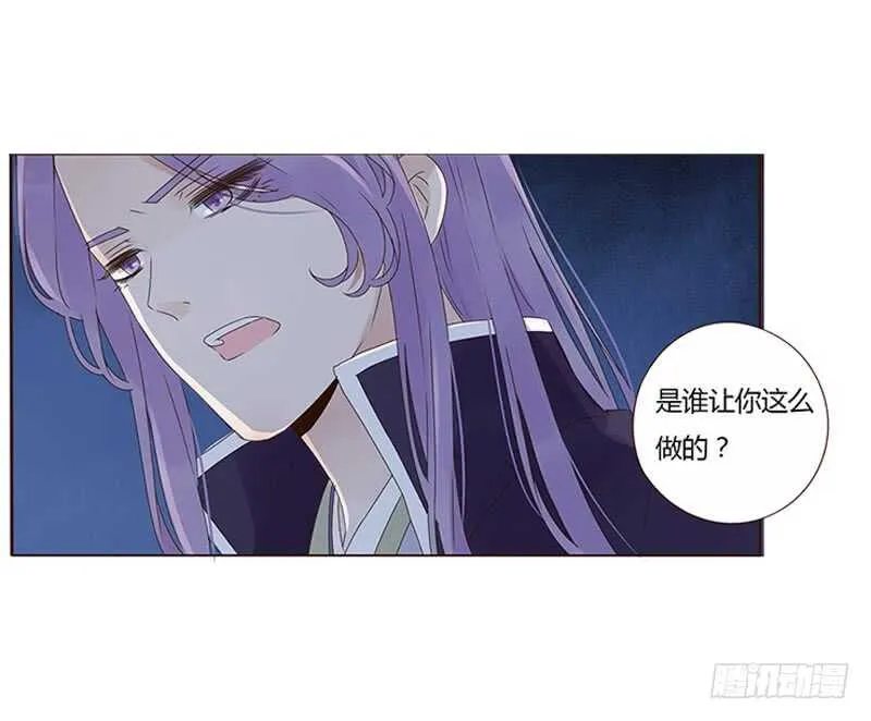 一八五章 装什么小白兔 第37页