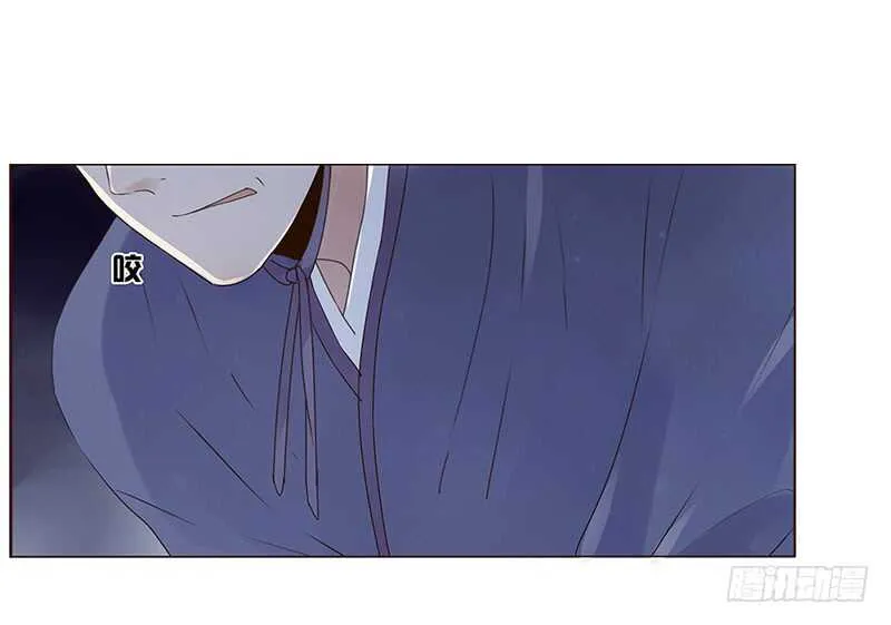 一八五章 装什么小白兔 第41页