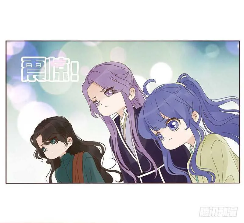 一八五章 装什么小白兔 第44页