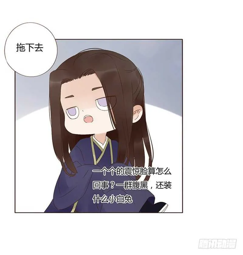 一八五章 装什么小白兔 第45页