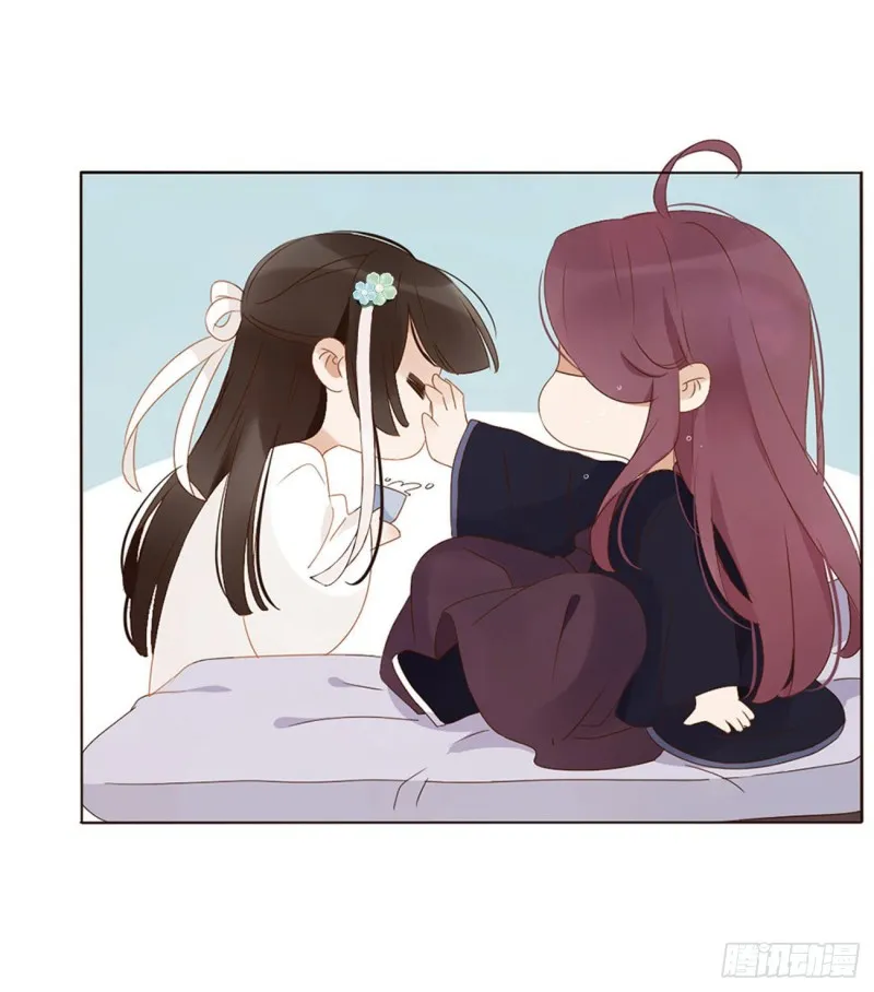 二三八章 “放虎归山” 第1页