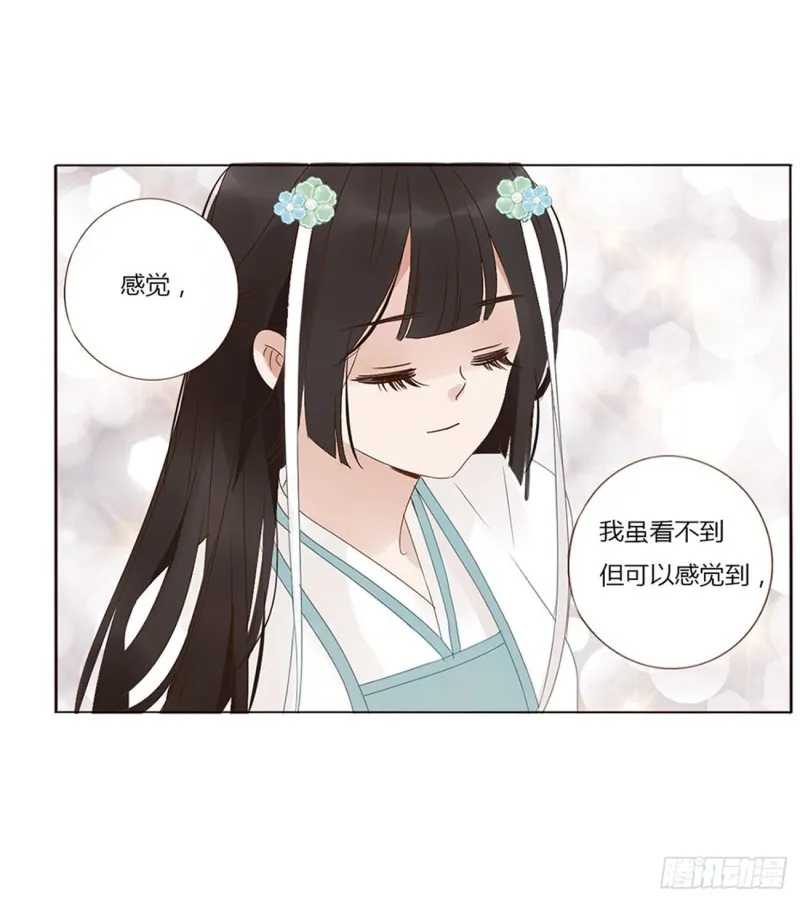 二三八章 “放虎归山” 第13页