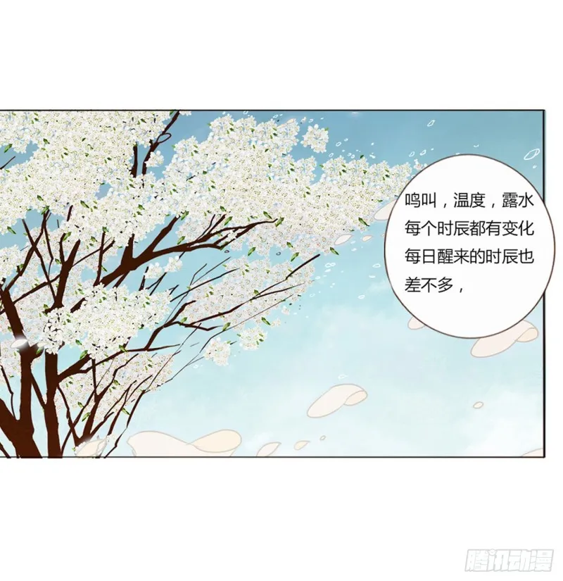 二三八章 “放虎归山” 第14页