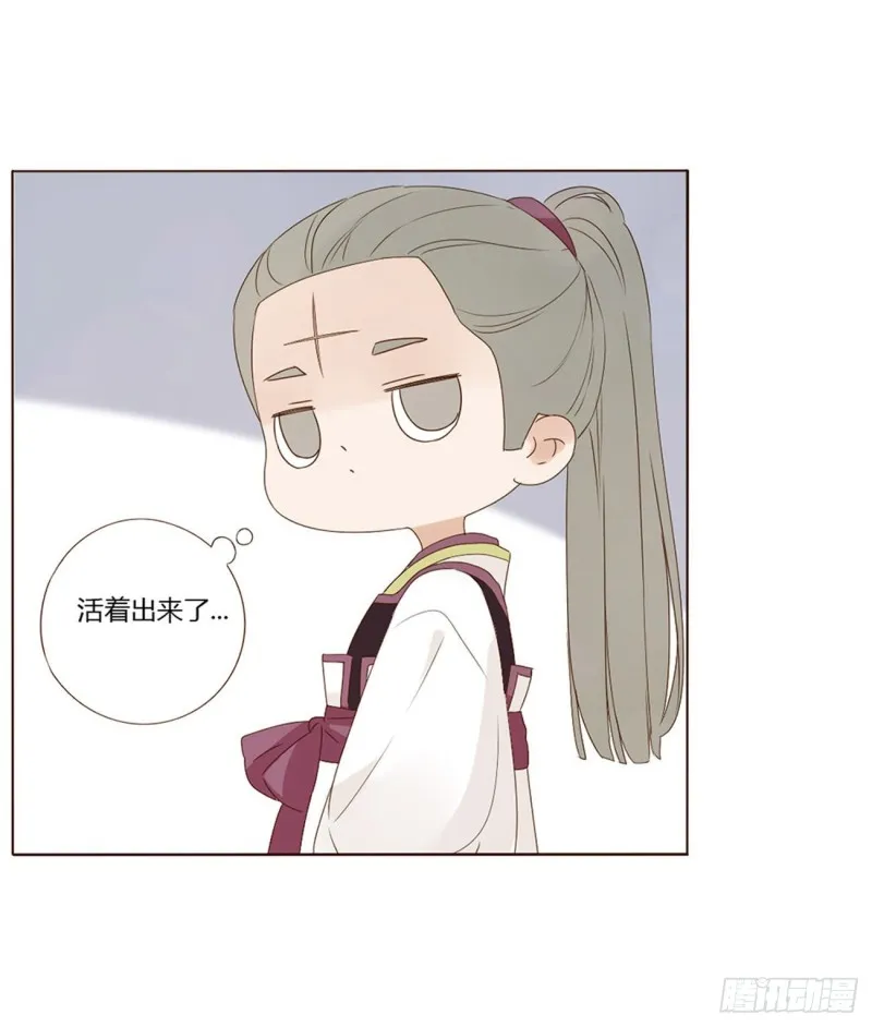 二三八章 “放虎归山” 第33页