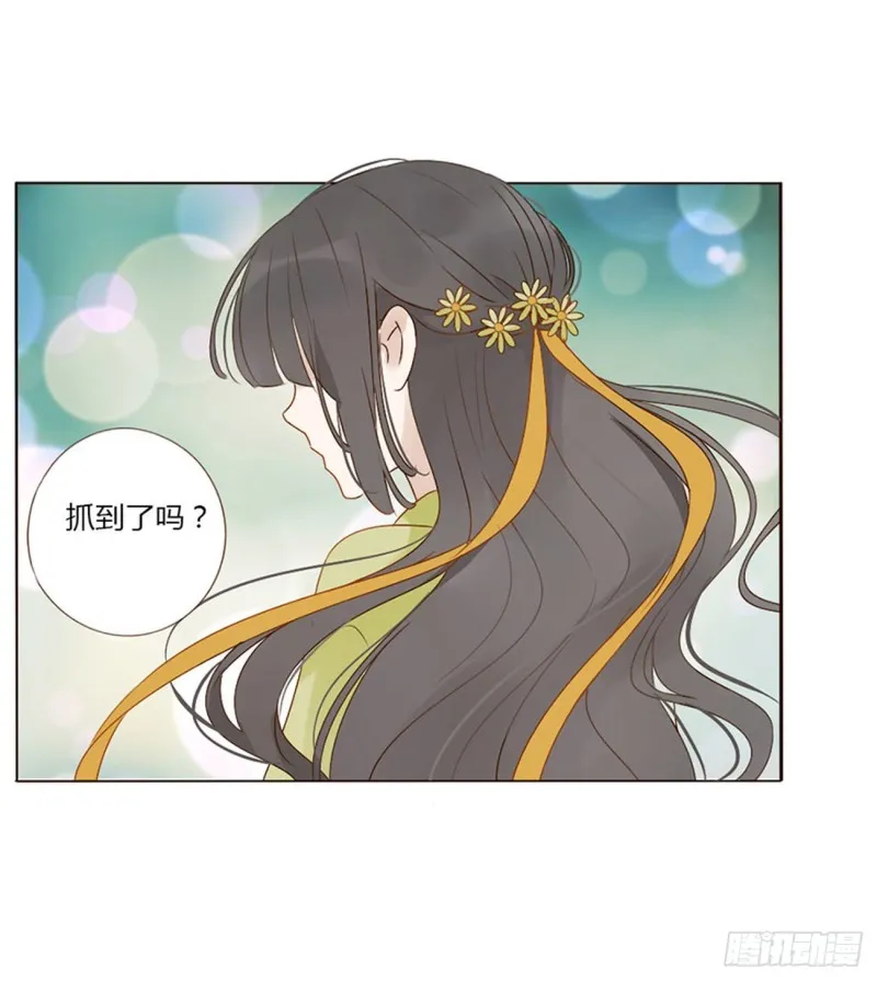 二四四章 暗恋 第22页