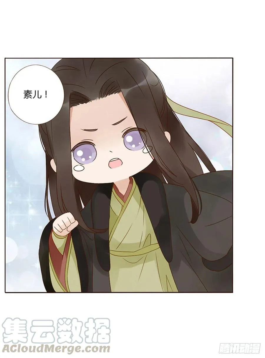 二四九章 邪君笑了 第49页